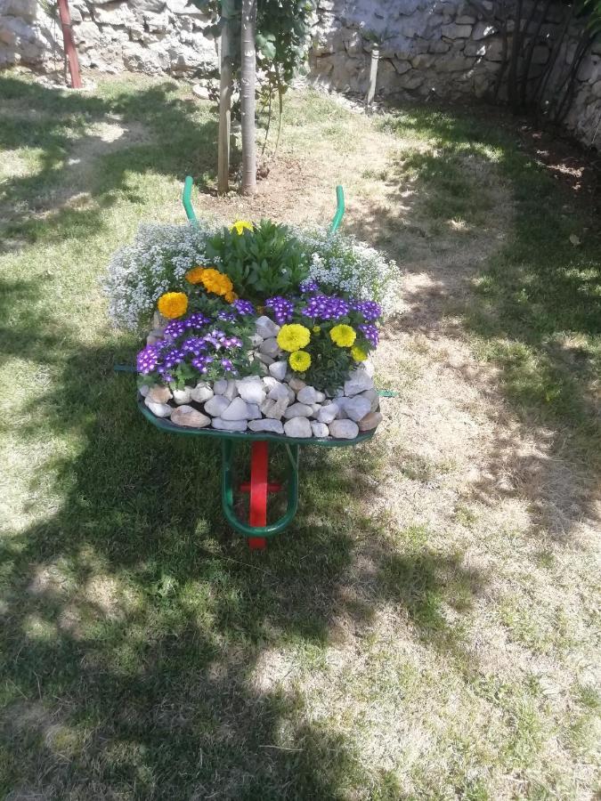 فيلا Nikini Dvori Gradac  المظهر الخارجي الصورة