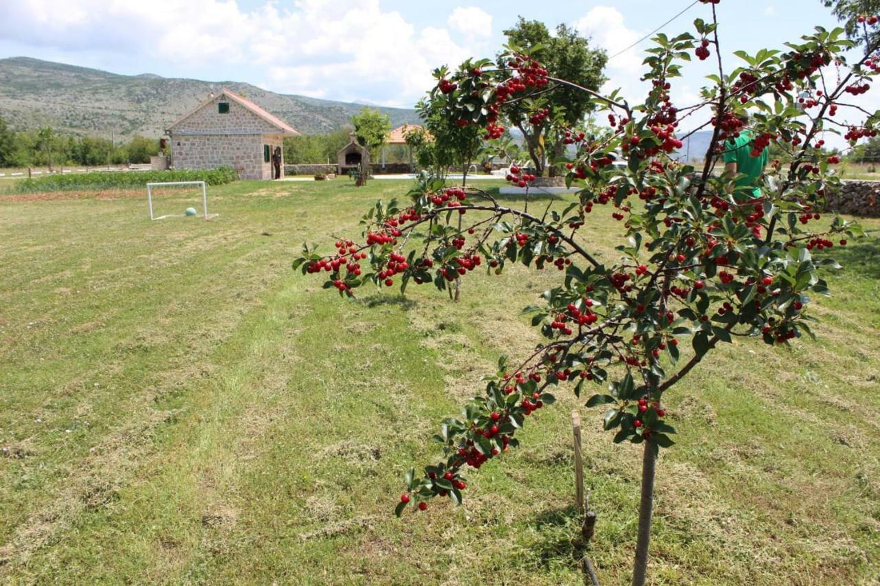 فيلا Nikini Dvori Gradac  المظهر الخارجي الصورة